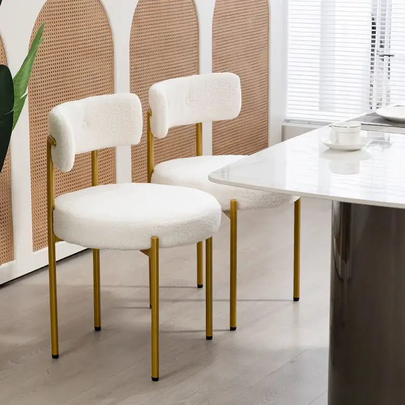 Chaises de salle à manger, chaises de cuisine modernes du milieu du siècle, lot de 2